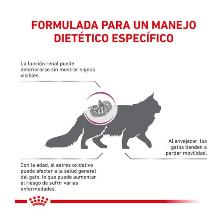 Royal Canin Early Renal ração para gatos, , large image number null