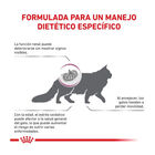 Royal Canin Early Renal ração para gatos, , large image number null