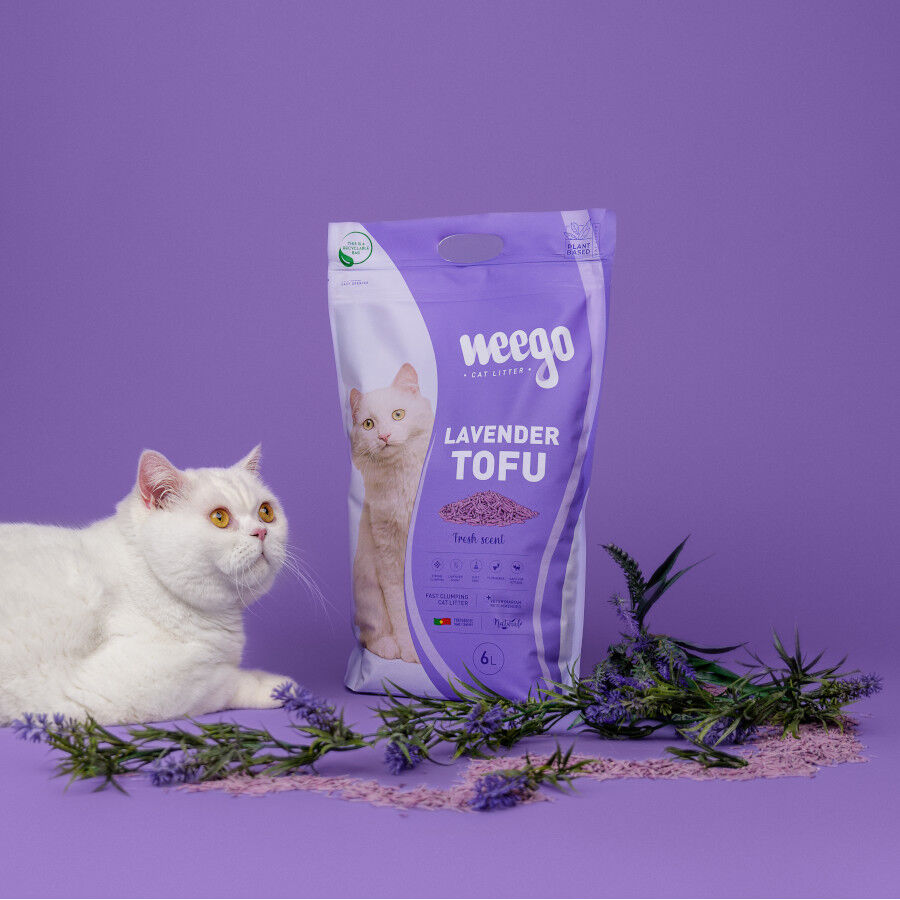 18 L Weego Lavender Tofu Arena aglomerante para gatos, , large Imagem n&uacute;mero 4