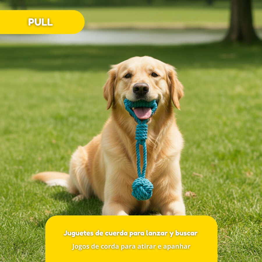 Tootoy! Pull Mordedor corda com bola e pega para c&atilde;es, , large Imagem n&uacute;mero 5