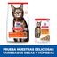 10 kg Hill's Adult Science Plan Cordeiro ração para gatos, , large Indicador imagem número 5