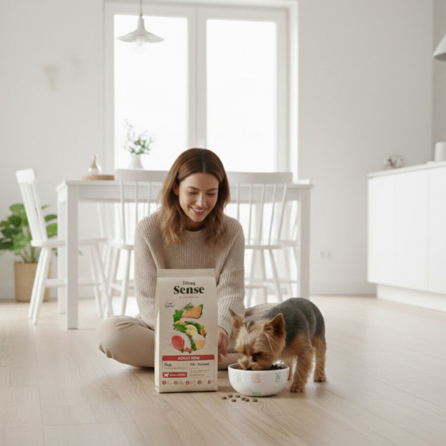 2 kg 2 kg Dibaq Sense Low Grain Ault Mini Ra&ccedil;&atilde;o de Peixe para c&atilde;es, , large Imagem n&uacute;mero 4