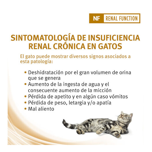Pro Plan Veterinary Diets Renal saquetas para gatos, , large image number null