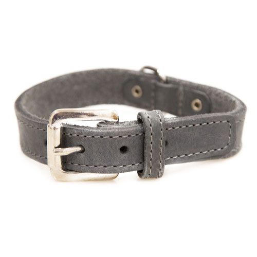 TK-Pet Namur gris collar de cuero para perros Imagem n&uacute;mero 1