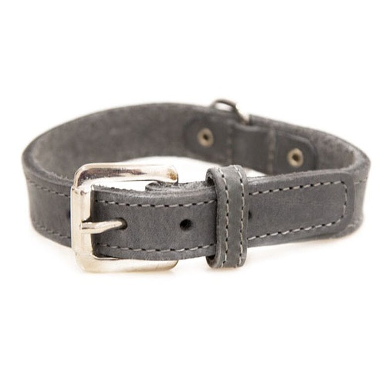 TK-Pet Namur Coleira de Couro Cinzento para cães,  Imagem número 1 TK-Pet Namur gris collar de cuero para perros Imagem número 1