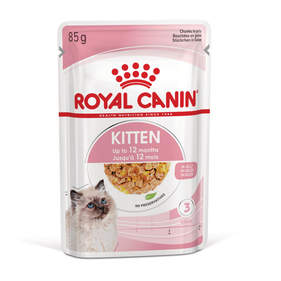 85 g Royal Canin Kitten alimento h&uacute;mido em gelatina saquetas para gatinhos, , large Imagem n&uacute;mero 1