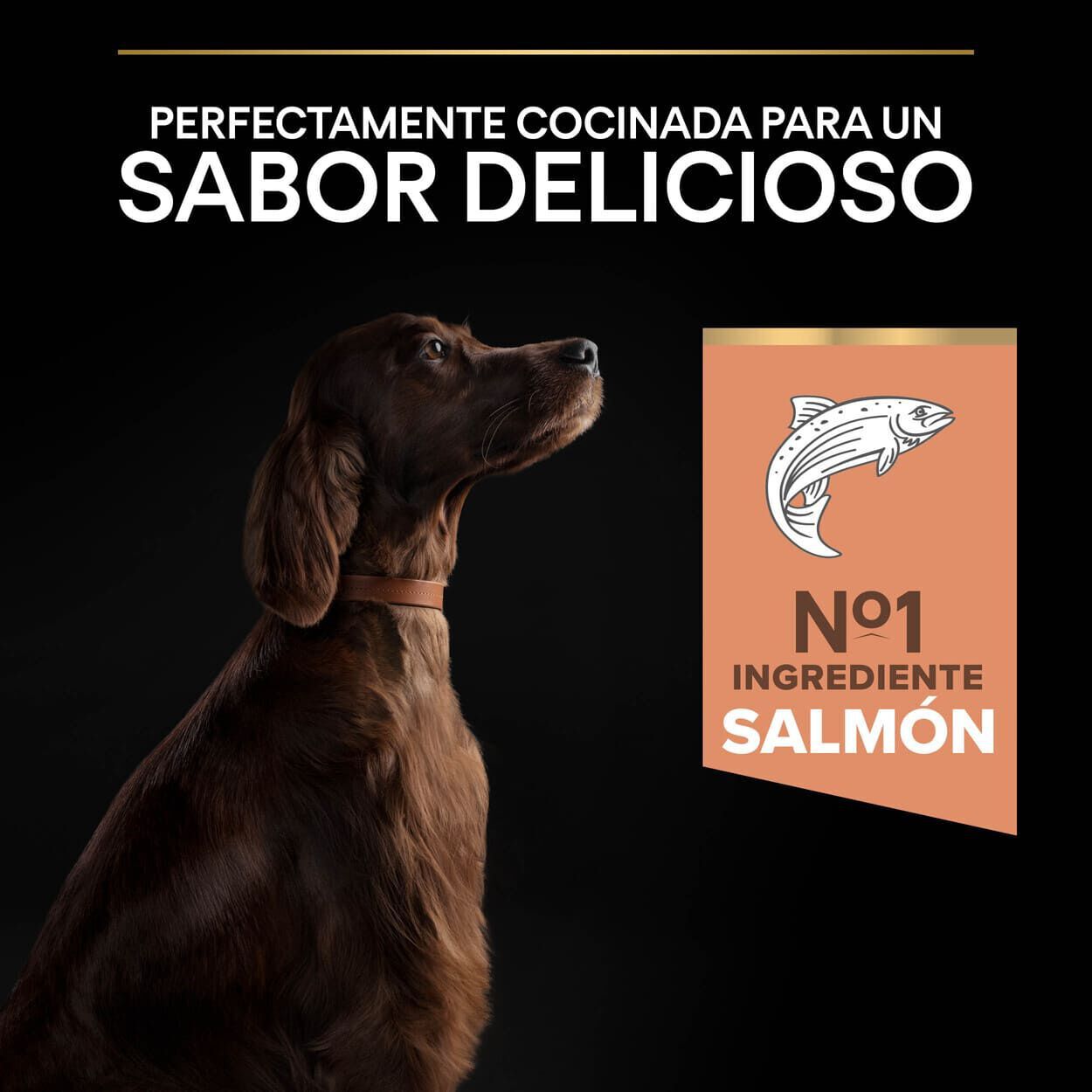 14 kg Pro Plan Large Athletic Adult Salm&atilde;o Peles Sens&iacute;veis ra&ccedil;&atilde;o para c&atilde;es, , large Imagem n&uacute;mero 7