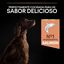 Pro Plan Large Athletic Adult Salmão Peles Sensíveis ração para cães, , large Indicador imagem número 7