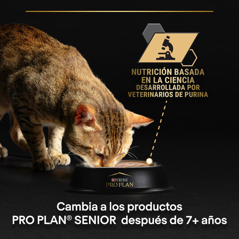 Pro Plan Adult Sterilised Maintenance Salmão e Atum em lata para gatos - Multipack 12, , large image number null