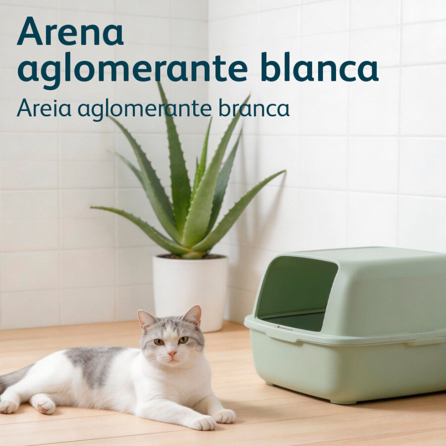 10 L Nova Clean Areia Ultra Aglomerante para gatos, , large Imagem n&uacute;mero 6