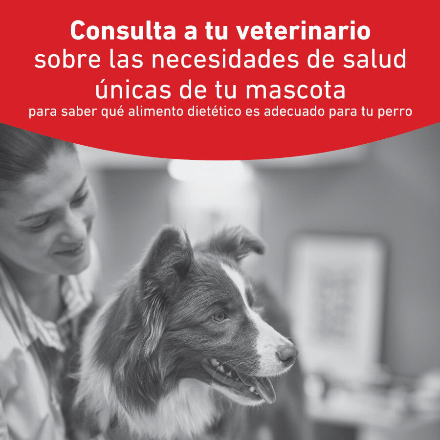 410 g Royal Canin Veterinary Diabetic latas para c&atilde;es, , large Imagem n&uacute;mero 2
