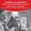 410 g Royal Canin Veterinary Diabetic latas para c&atilde;es, , large Indicador imagem n&uacute;mero 2
