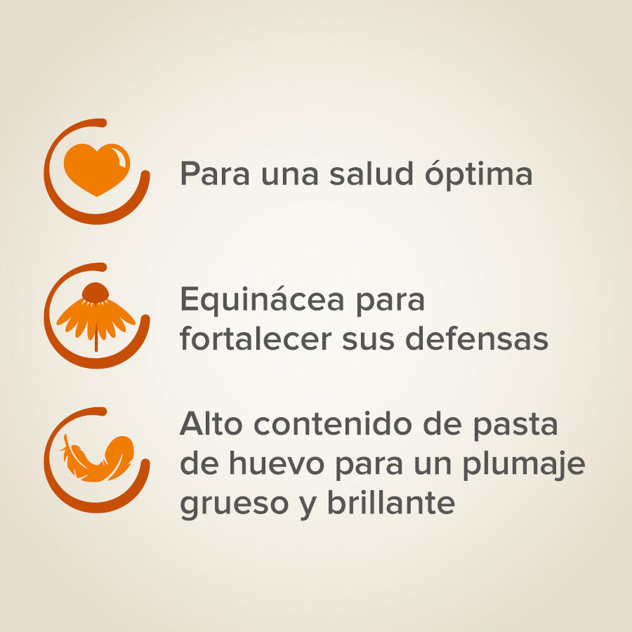 Mistura de sementes Beaphar XtraVital Premium para aves ex&oacute;ticas, , large Imagem n&uacute;mero 4