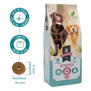 Criadores Retriever ração para cães