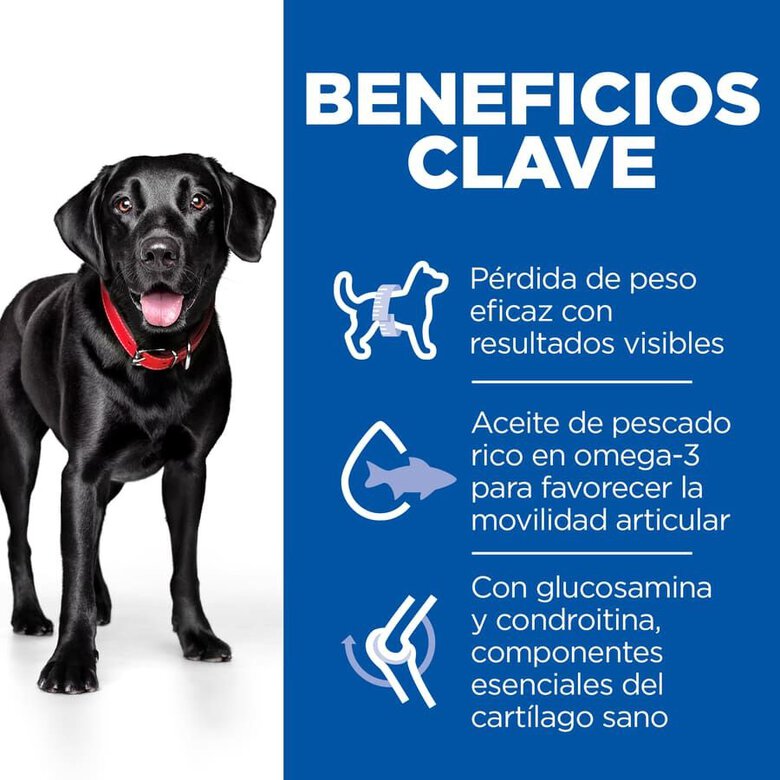 12 kg Hill's Science Plan Perfect Weight y Active Mobility frango ração para cães,  Imagem número 4 12 kg Hill's Science Plan Perfect Weight y Active Mobility frango ração para cães, , large Imagem número 4