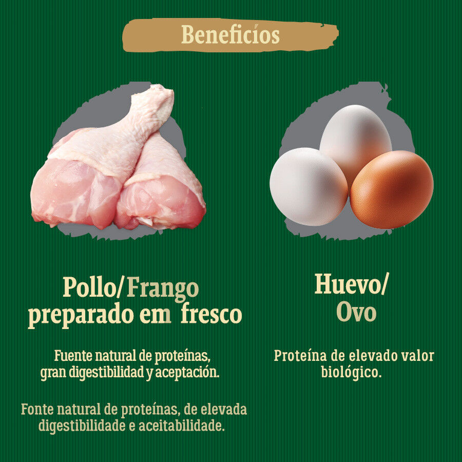 jordan 1 low blue on feet