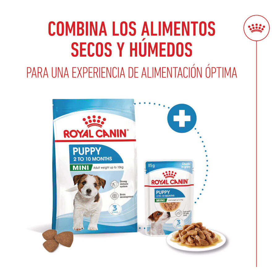85 g Royal Canin Mini Puppy alimento h&uacute;mido em molho saquetas para c&atilde;es, , large Imagem n&uacute;mero 5
