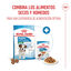 85 g Royal Canin Mini Puppy alimento húmido em molho saquetas para cães, , large Indicador imagem número 5