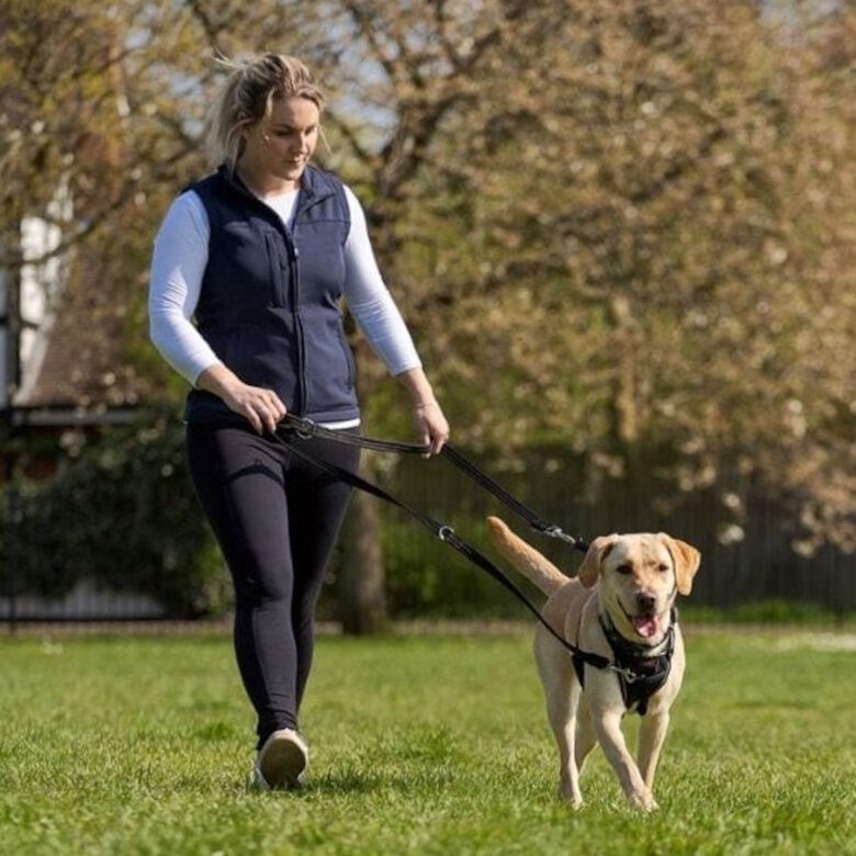 Halti Peitoral Anti-puxão Pequeno para Cães,  Imagem número 4 Halti Peitoral Anti-puxão Pequeno para Cães, , large Imagem número 4
