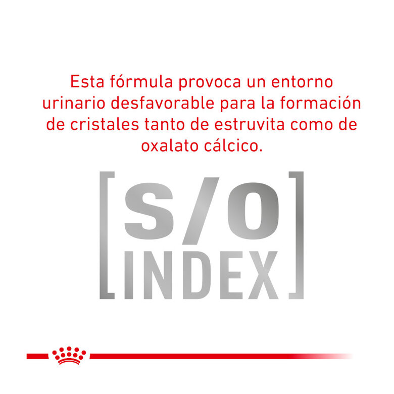 7 kg Royal Canin Veterinary Urinary ração para gatos,  Imagem número 6 7 kg Royal Canin Veterinary Urinary ração para gatos, , large Imagem número 6
