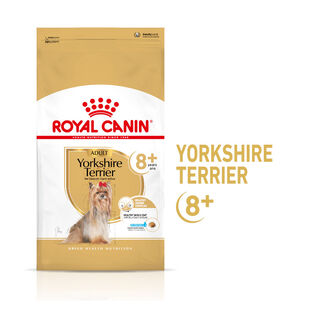 Royal Canin Adult 8+ Yorkshire ração para cães