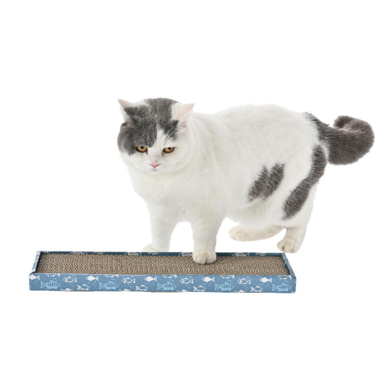 Leeby Fitz tábua arranhadora de cartão azul para gatos,  Imagem número 10 Leeby Fitz tábua arranhadora de cartão azul para gatos, , large Imagem número 10