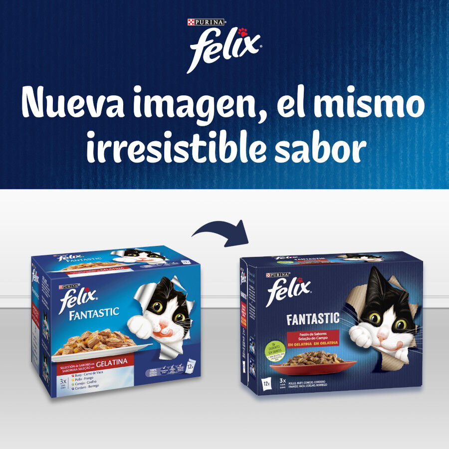 24 saquetas x 85 g Felix Sele&ccedil;&atilde;o de carnes em gelatina, , large Imagem n&uacute;mero 8