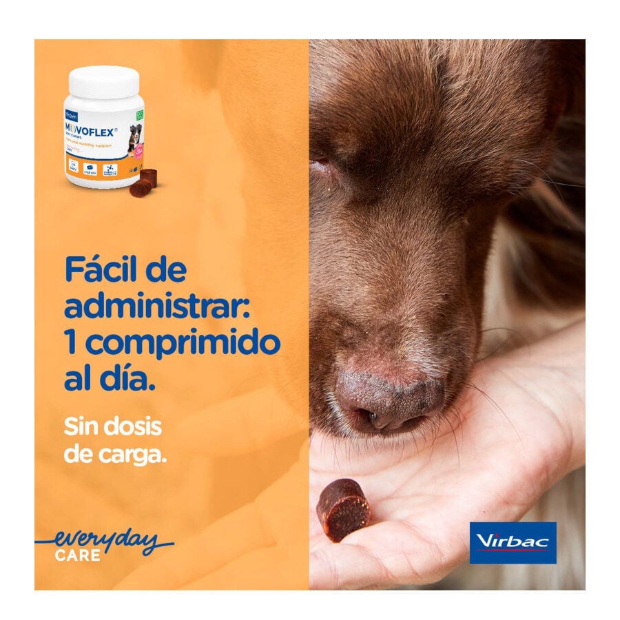 Virbac Movoflex Condroprotetor para c&atilde;es de porte m&eacute;dio, , large Imagem n&uacute;mero 4