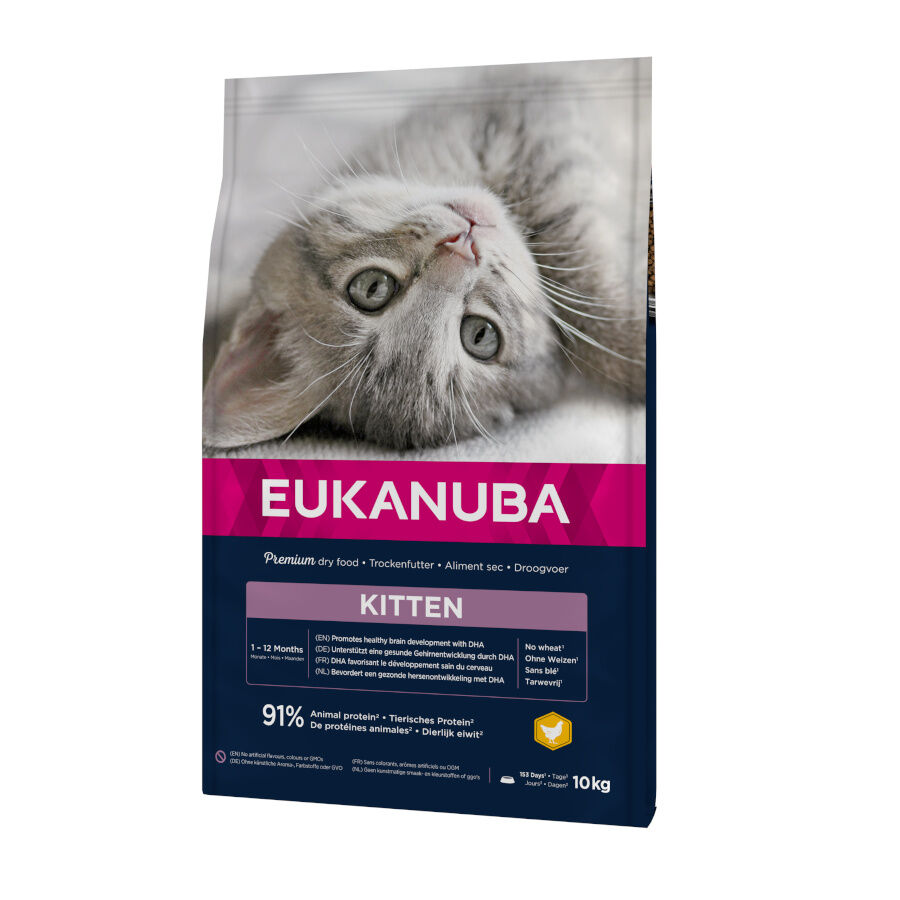 10 kg Eukanuba Kitten ra&ccedil;&atilde;o para gatinhos, , large Imagem n&uacute;mero 1