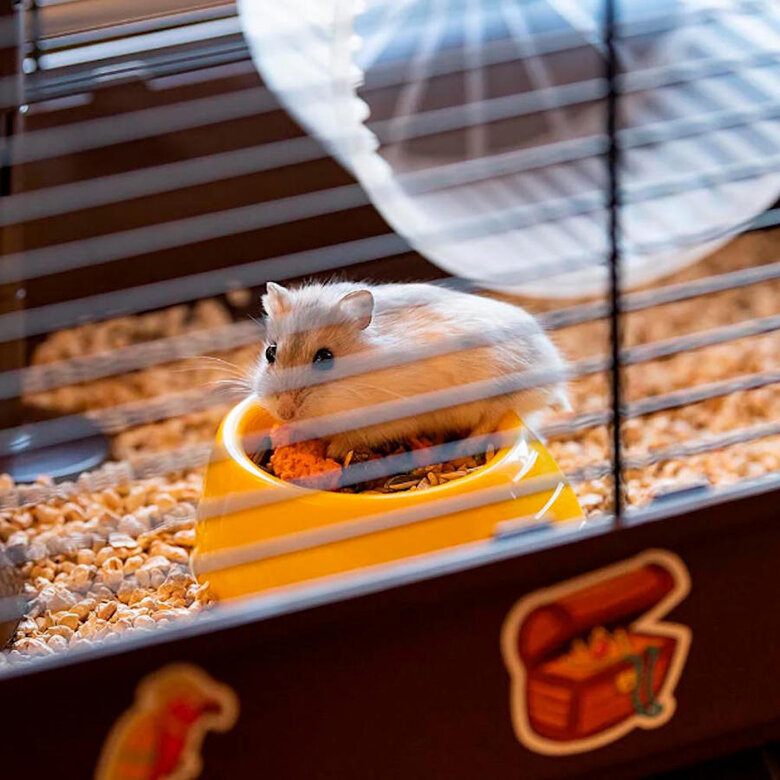 Ferplast Criceti 9 Piratas Preta Jaula para roedores,  Imagem número 6 Ferplast Criceti 9 Piratas Preta Jaula para roedores, , large Imagem número 6