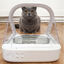 Sure Petcare Surefeed Comedouro Automático com Microchip para gatos, , large Indicador imagem número 7