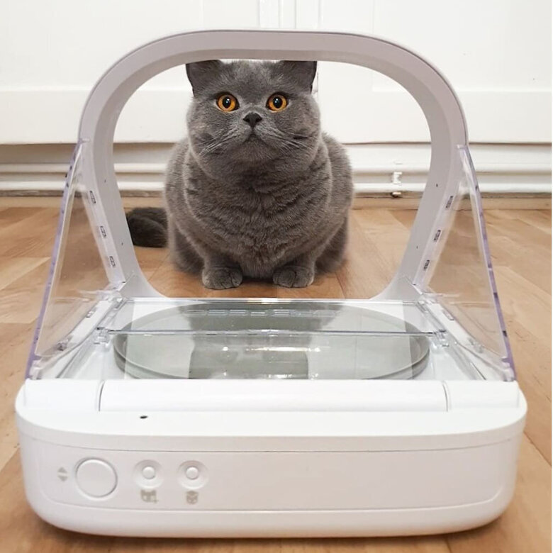 Sure Petcare Surefeed Comedouro Automático com Microchip,  Imagem número 7 Sure Petcare Surefeed Comedouro Automático com Microchip, , large Imagem número 7