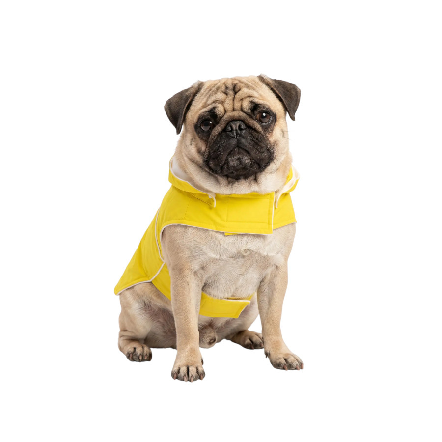 Gotoo Capa de Chuva Refletora Amarela para c&atilde;es, , large Imagem n&uacute;mero 7