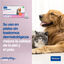 Virbac Allerderm Pipetas dermatológicas Allerderm Spot-On para cães e gatos, , large Indicador imagem número 5