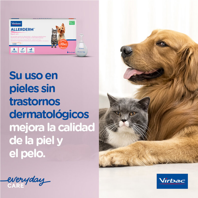 Virbac Allerderm Pipetas dermatológicas Allerderm Spot-On para cães e gatos,  Imagem número 5 Virbac Allerderm Pipetas dermatológicas Allerderm Spot-On para cães e gatos, , large Imagem número 5