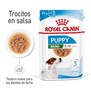 Royal Canin Mini Puppy alimento húmido em molho saquetas para cães
