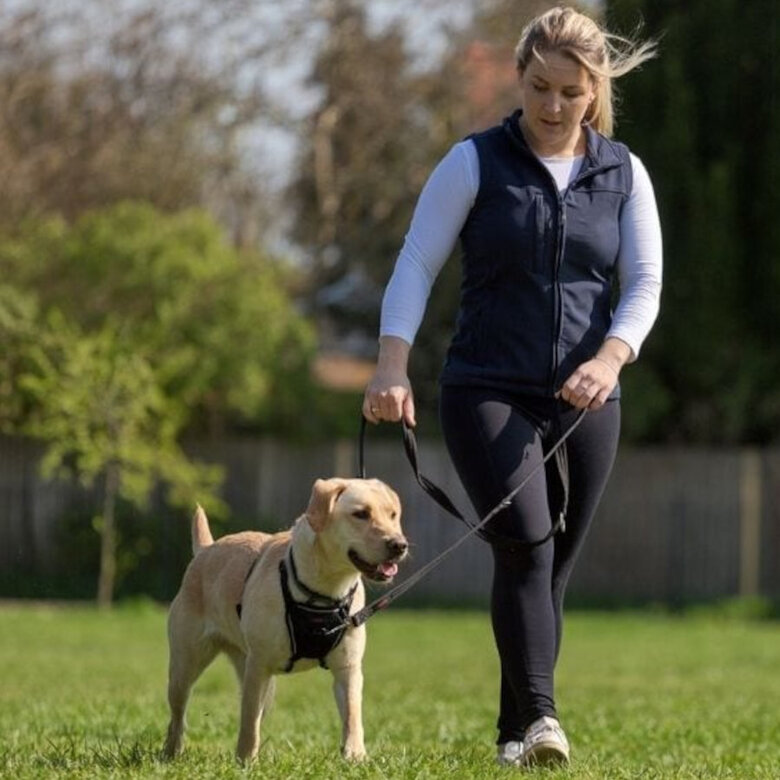 Halti Trela de treino preta para cães,  Imagem número 3 Halti Trela de treino preta para cães, , large Imagem número 3