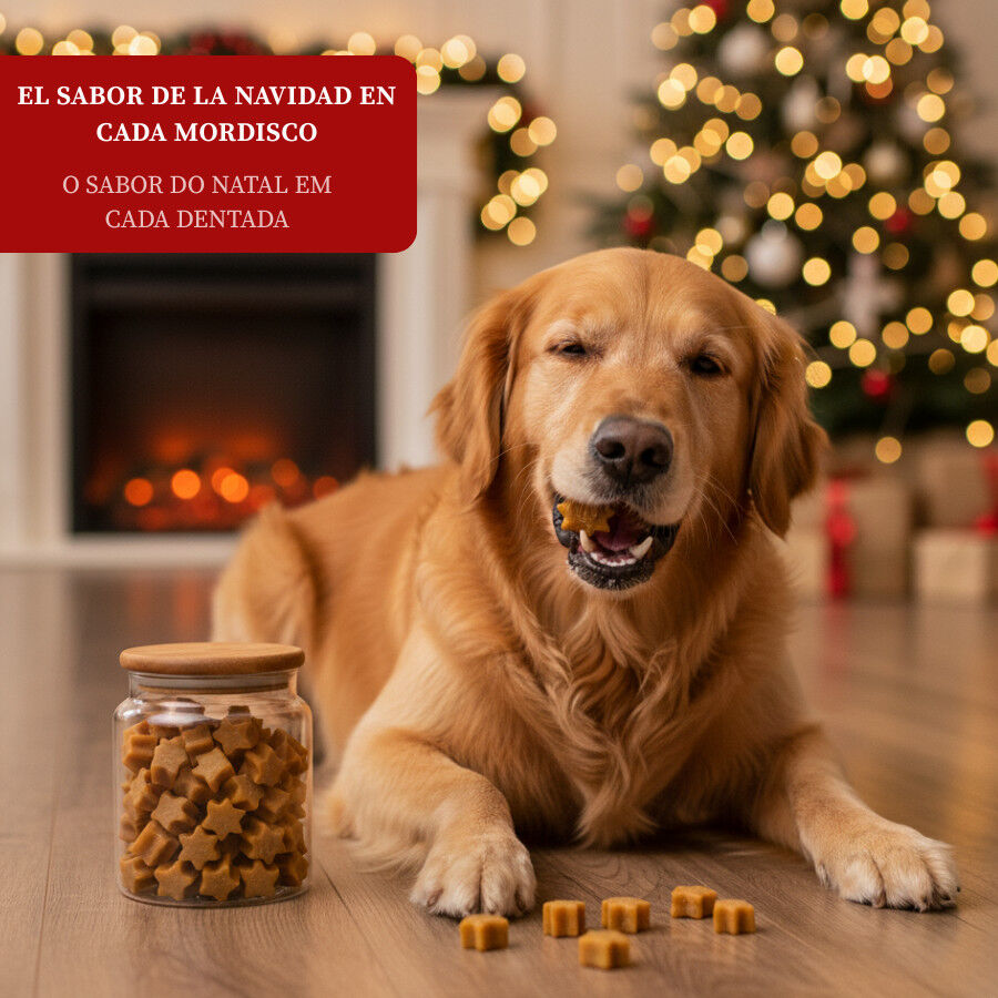 70 g Wonder Christmas Biscoitos de Natal para c&atilde;es, , large Imagem n&uacute;mero 4