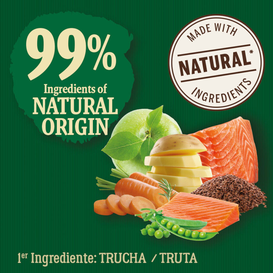 2 kg True Origins Wild Ocean River Salm&atilde;o e Truta ra&ccedil;&atilde;o para gatinhos, , large Imagem n&uacute;mero 3
