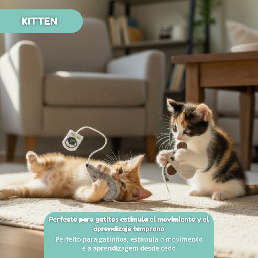 Tootoy! Kitten Rato de brinquedo para gatos, , large Imagem n&uacute;mero 7