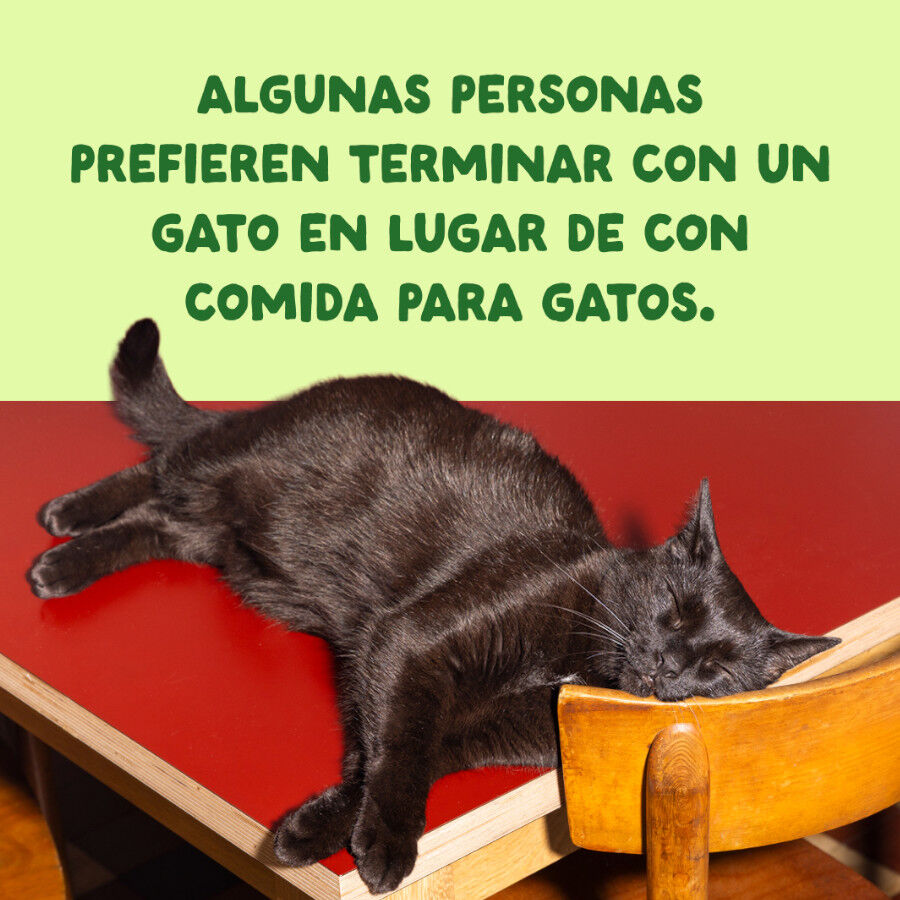 70 g Edgard & Cooper Filetes de Caballa Lata para gatos, , large Imagem n&uacute;mero 9