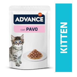 Advance Kitten Peru em molho saquetas