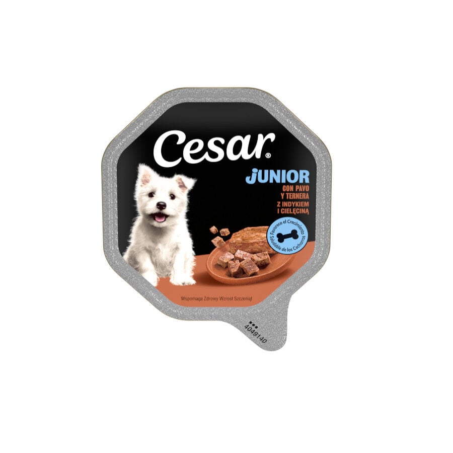 150 g Cesar Peru e Vitela Terrina em Geleia para Cachorros, , large Imagem n&uacute;mero 1