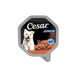 Cesar Peru e Vitela Terrina em Geleia para Cachorros