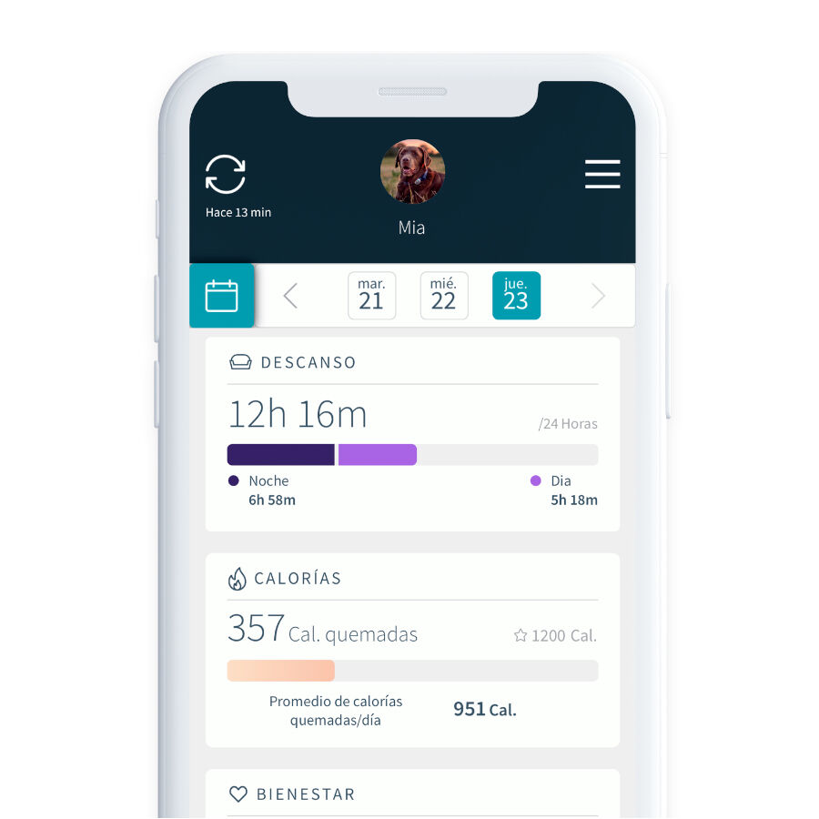 Sure Petcare Animo Monitor comportamental para c&atilde;es, , large Imagem n&uacute;mero 9