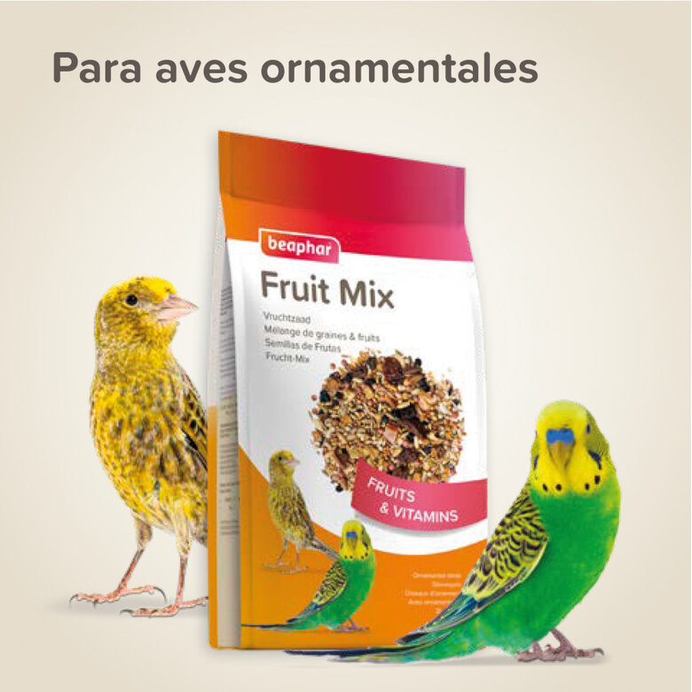 Beaphar sementes de frutas para pássaros,  Imagem número 5 Beaphar sementes de frutas para pássaros, , large Imagem número 5