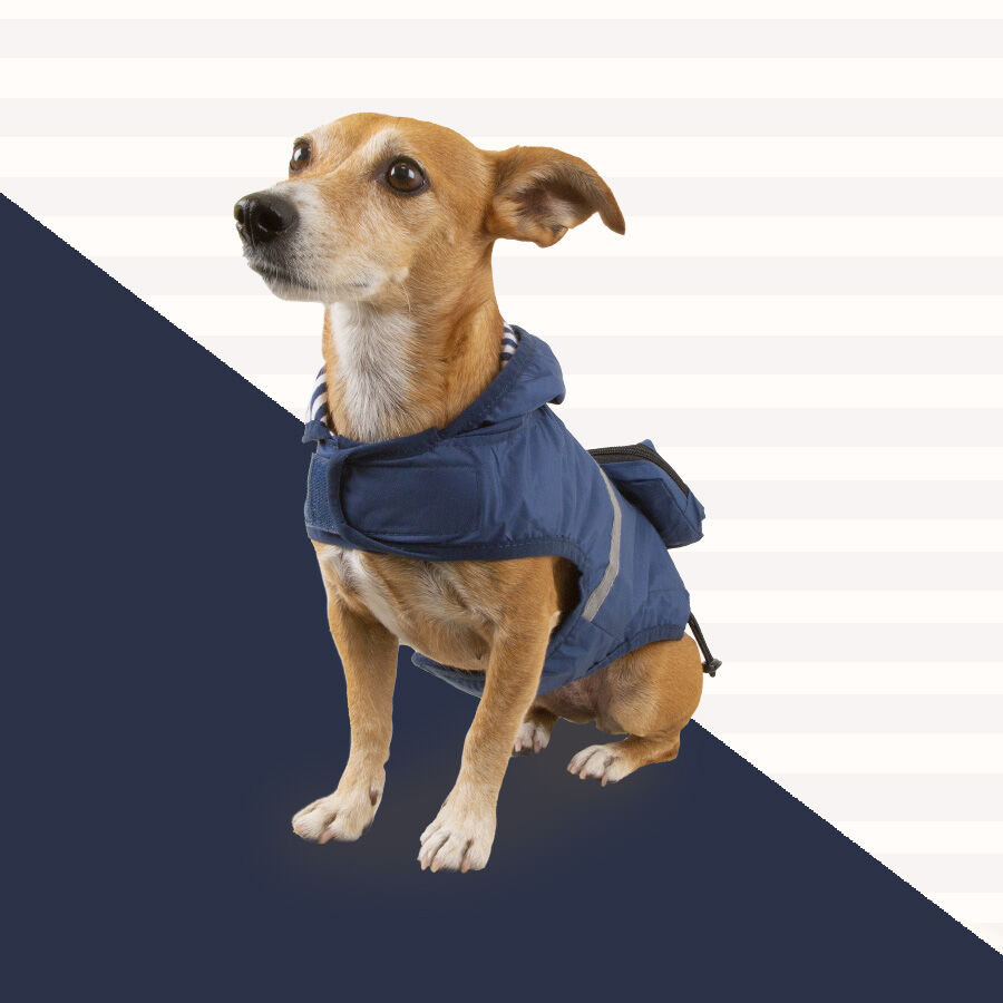 Outech Capa de chuva azul-marinho com bolso para c&atilde;es, , large Imagem n&uacute;mero 3