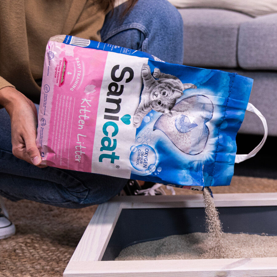 2 x 5 L Sanicat Kitten Areia Super absorvente para gatinhos Pack poupan&ccedil;a!, , large Imagem n&uacute;mero 4