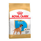 Royal Canin Puppy Boxer ração para cães, , large image number null