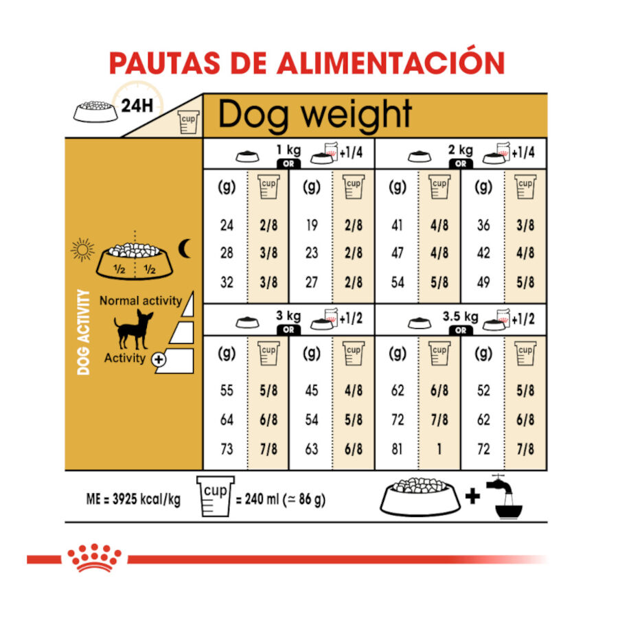 500 g Royal Canin Adult Chihuahua ra&ccedil;&atilde;o para c&atilde;es, , large Imagem n&uacute;mero 8